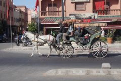 06-Horse cab in Safi